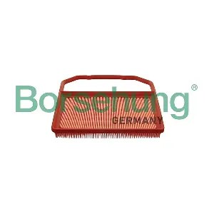 B10538 Borsehung
