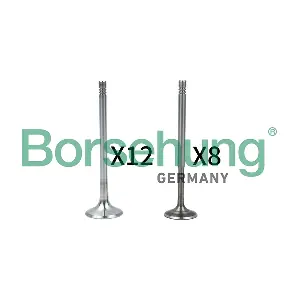 B18636 Borsehung