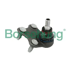B11340 Borsehung