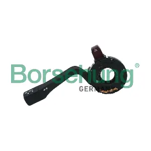 B17966 Borsehung
