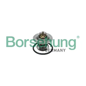 Borsehung B18246