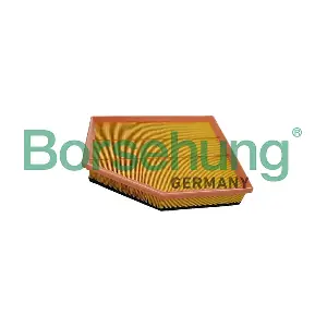 B13061 Borsehung
