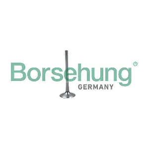 Borsehung B19026