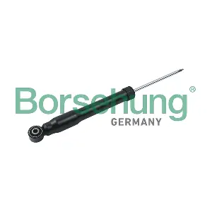 B14718 Borsehung