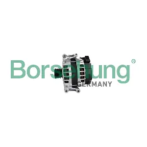 B12939 Borsehung