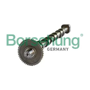 B18980 Borsehung