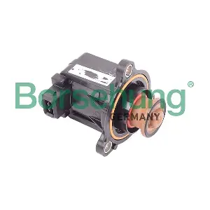 B12567 Borsehung