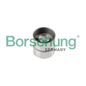 Borsehung B18834