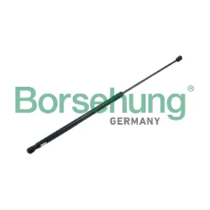 Borsehung B14187