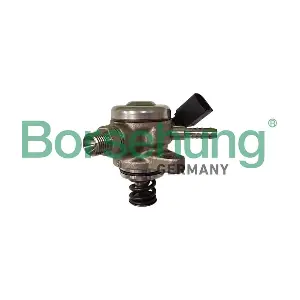 B12716 Borsehung
