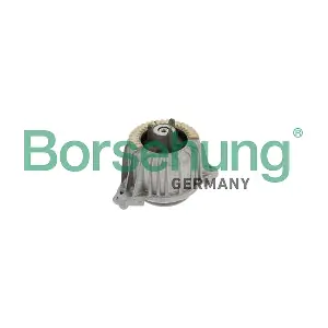 B12982 Borsehung