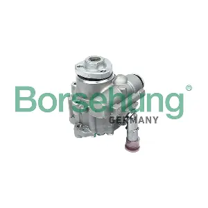 B13211 Borsehung