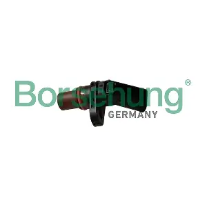 B11872 Borsehung
