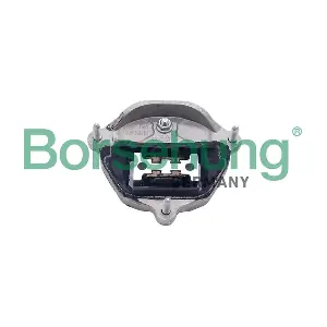 B10041 Borsehung