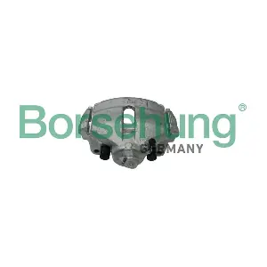 B11371 Borsehung