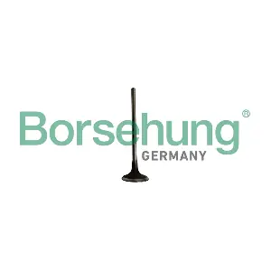 Borsehung B10334