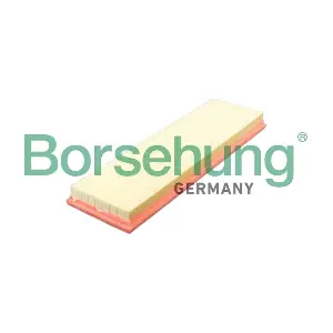 B12428 Borsehung