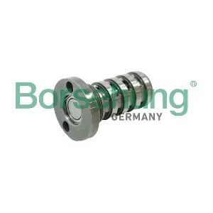 B12123 Borsehung