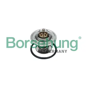 B18265 Borsehung