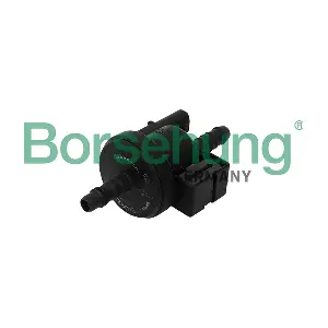 B16933 Borsehung