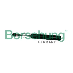 B19273 Borsehung