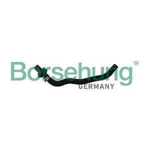 B11971 Borsehung