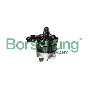 B12919 Borsehung