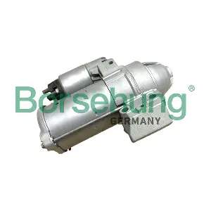 B12036 Borsehung