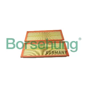 B12398 Borsehung