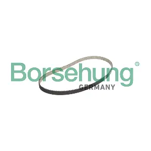 Borsehung B10228