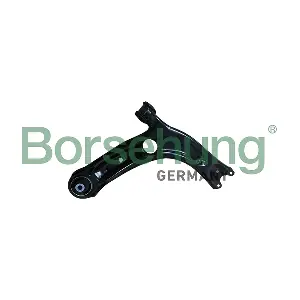 Borsehung B10859