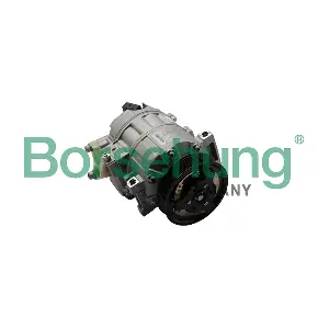 B19125 Borsehung
