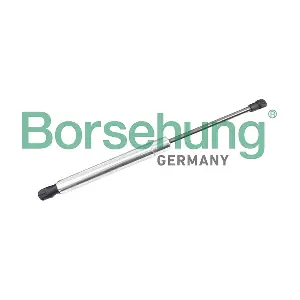 B18460 Borsehung