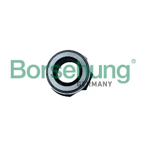 Borsehung B19279