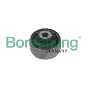 B18718 Borsehung