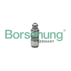 Borsehung B18825
