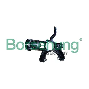 2Q0407256H BORSEHUNG