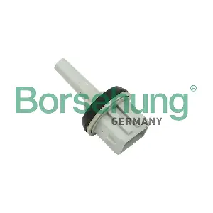 Borsehung B11449