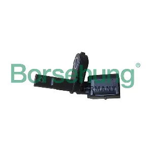 Borsehung B11843