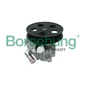 B13214 Borsehung