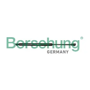 B12068 Borsehung