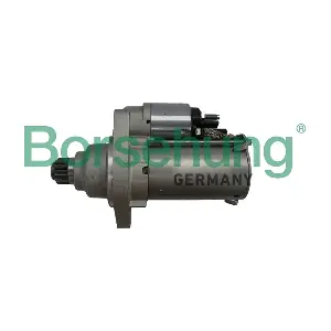 B19155 Borsehung