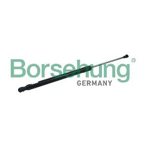 Borsehung B14193