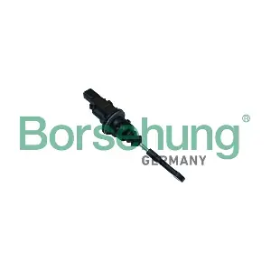 B19143 Borsehung
