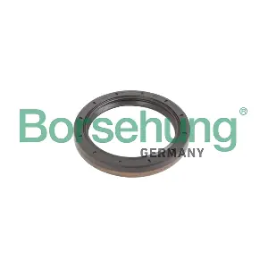 B12193 Borsehung