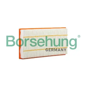 B12402 Borsehung