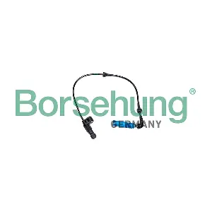 B13108 Borsehung
