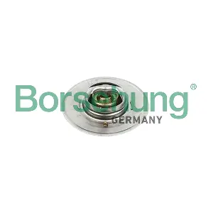 B18247 Borsehung