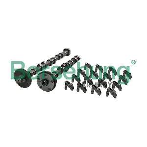 B12995 Borsehung