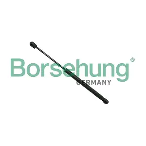 B12065 Borsehung
